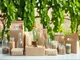 the-role-of-the-wine-industry-in-the-sustainable-packaging-alliance