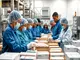 understanding-the-role-of-a-pharmaceutical-packaging-operator-job-description